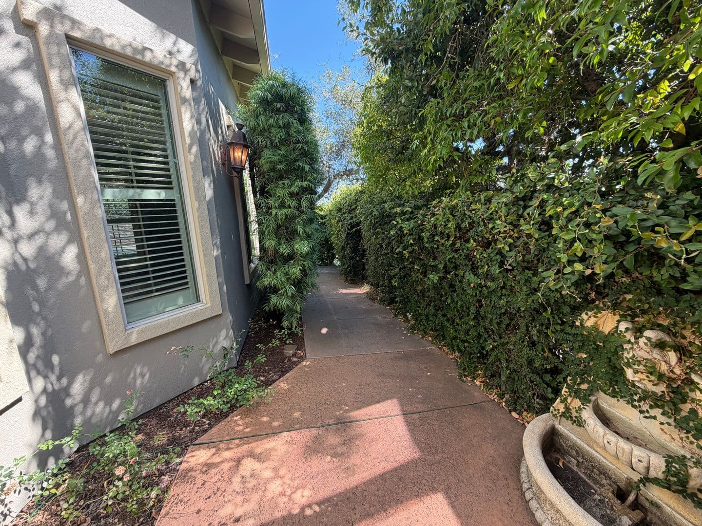El Dorado Hills House: 1014 Gamay Drive
