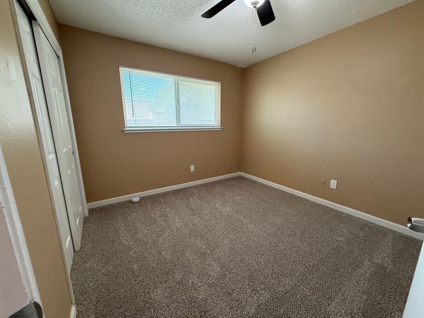 Carmichael Multiplex: 5727 Woodleigh Dr