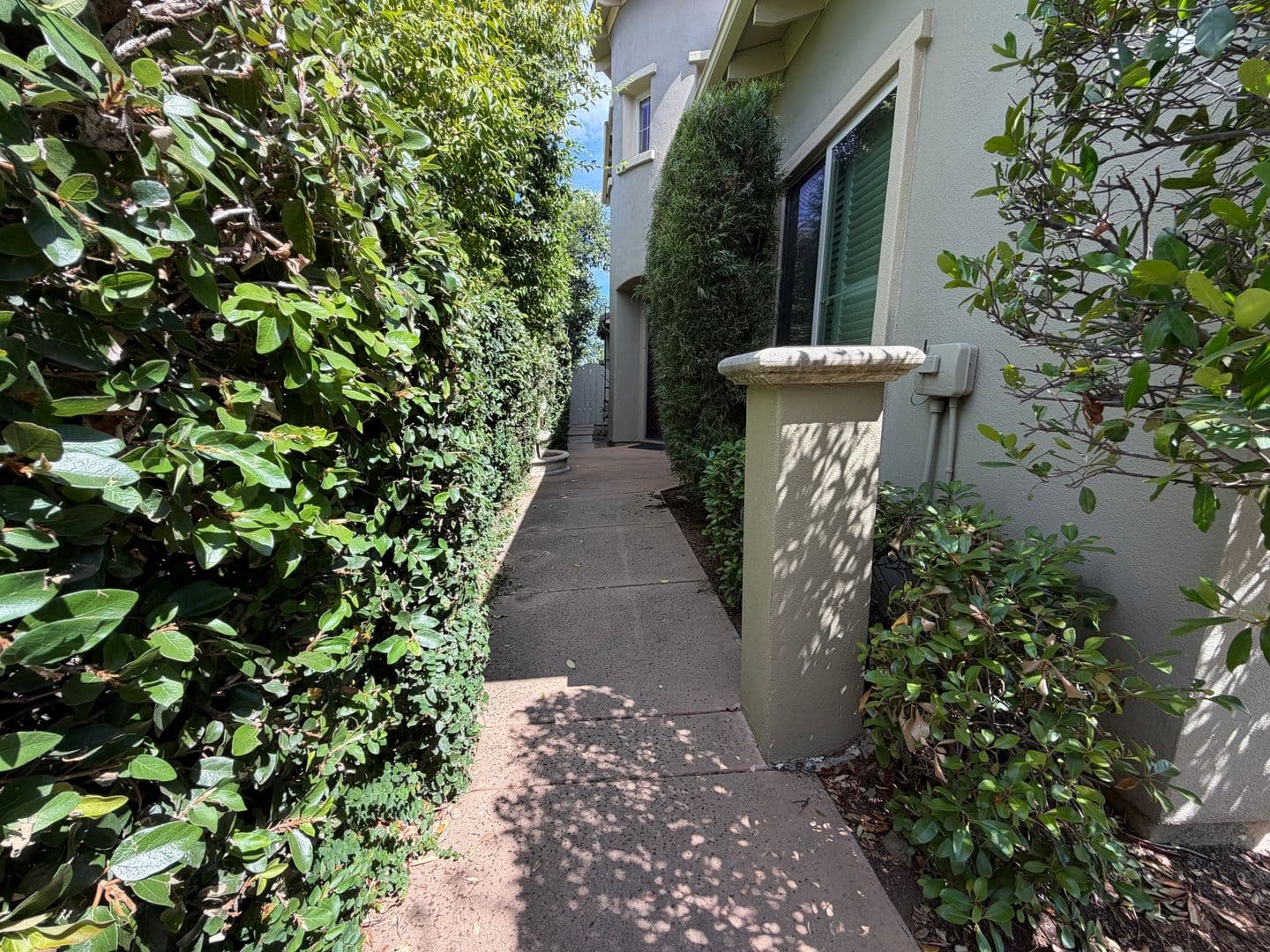 El Dorado Hills House: 1014 Gamay Drive