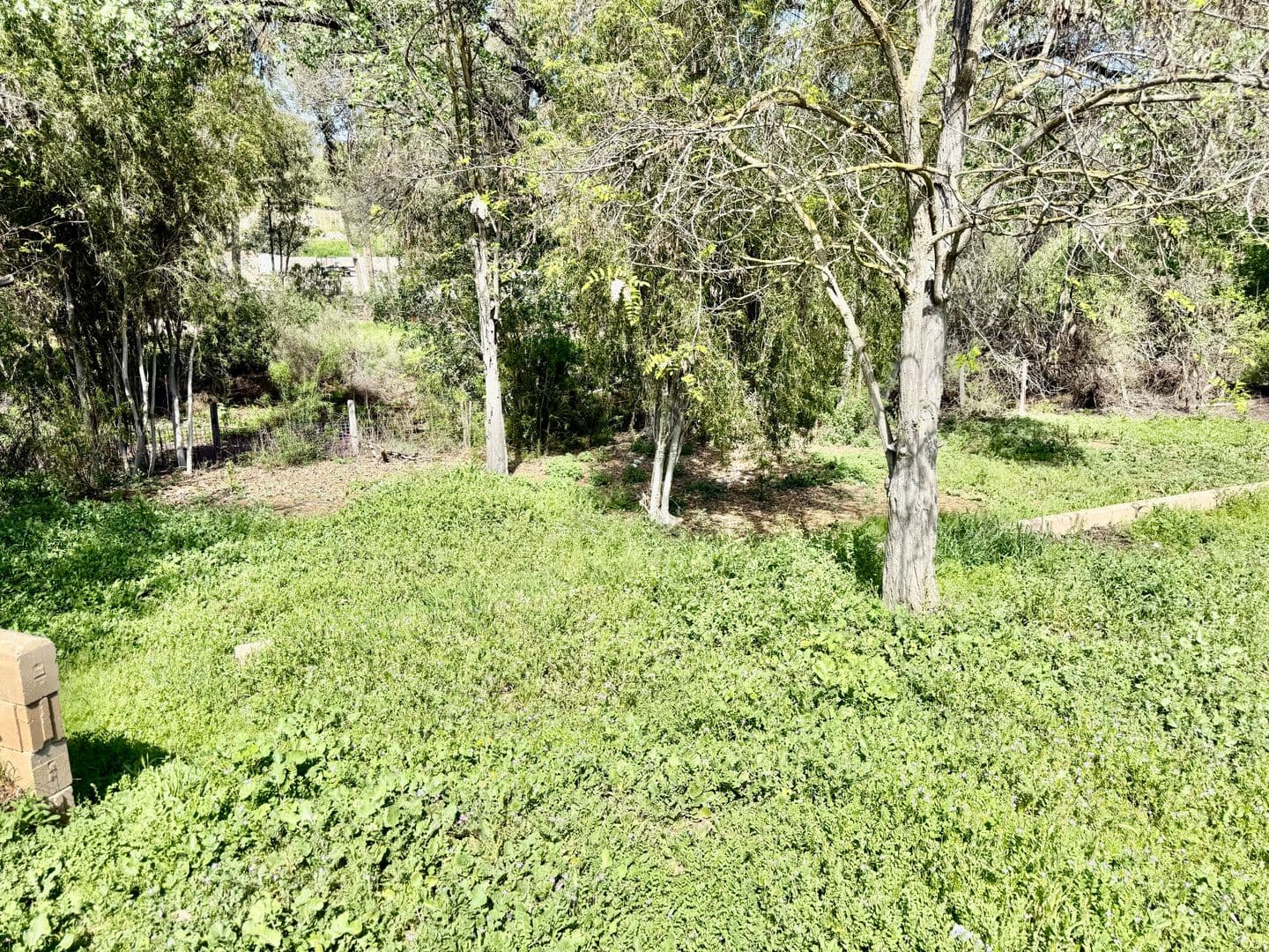 Wildomar House: 22784 Grand Ave