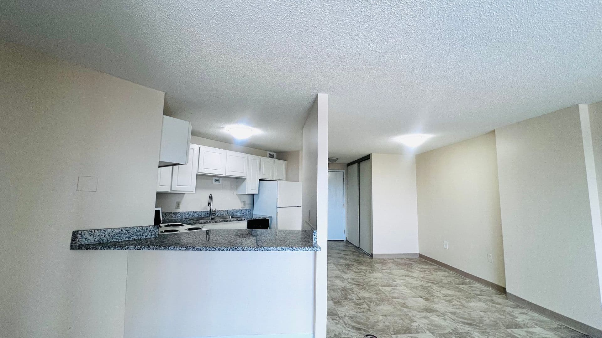Minneapolis Apartment: 215 Oak Grove Street