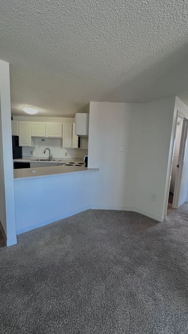 Minneapolis Apartment: 215 Oak Grove Street