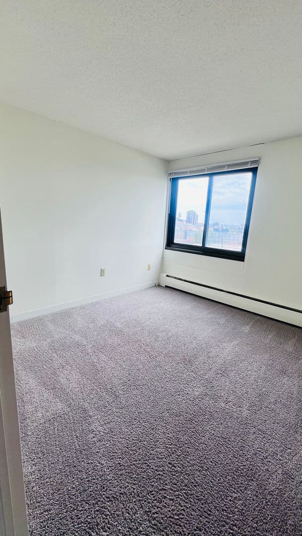 Minneapolis Apartment: 215 Oak Grove Street