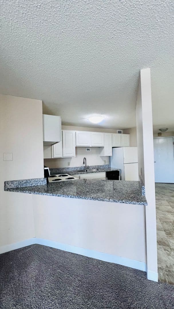 Minneapolis Apartment: 215 Oak Grove Street