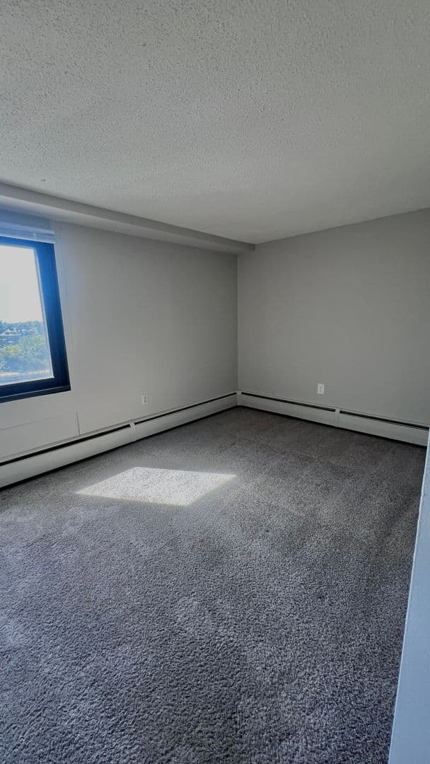 Minneapolis Apartment: 215 Oak Grove Street