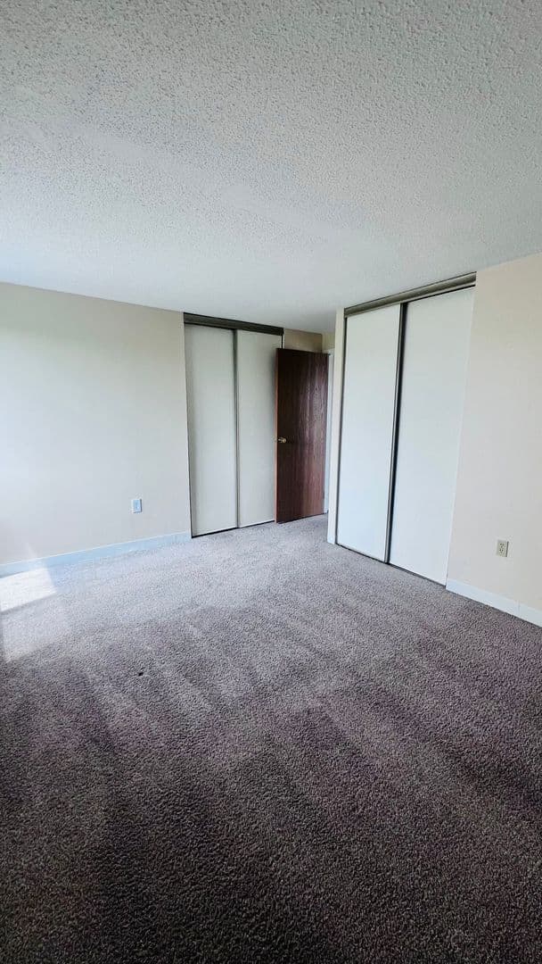 Minneapolis Apartment: 215 Oak Grove Street
