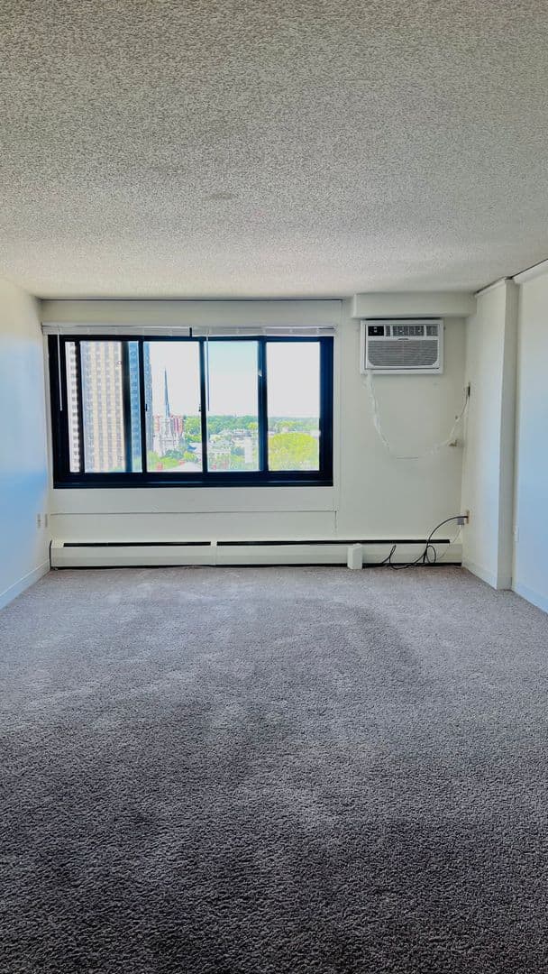 Minneapolis Apartment: 215 Oak Grove Street