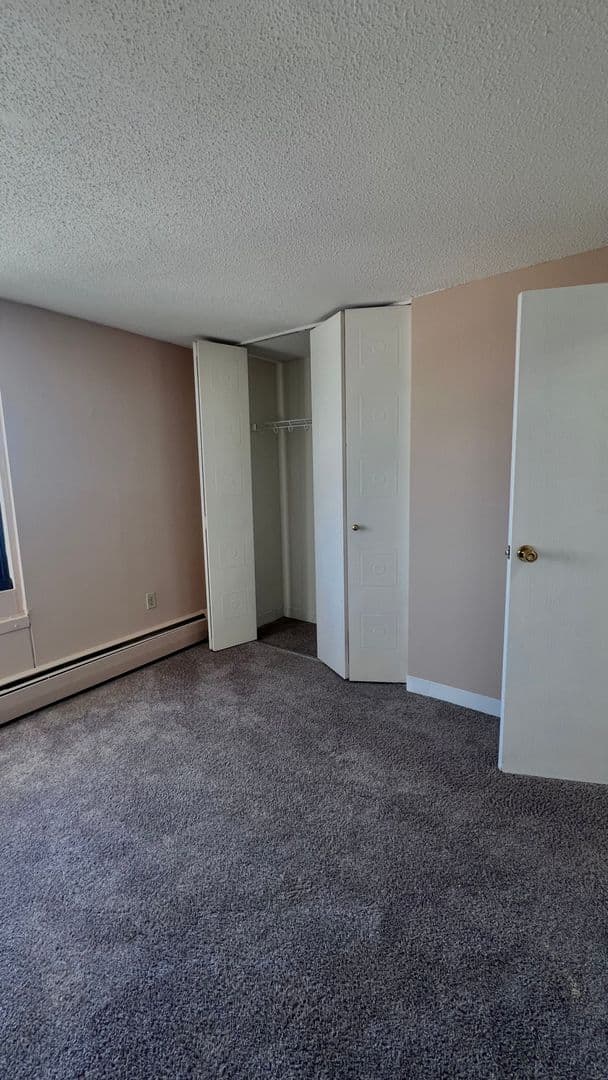 Minneapolis Apartment: 215 Oak Grove Street
