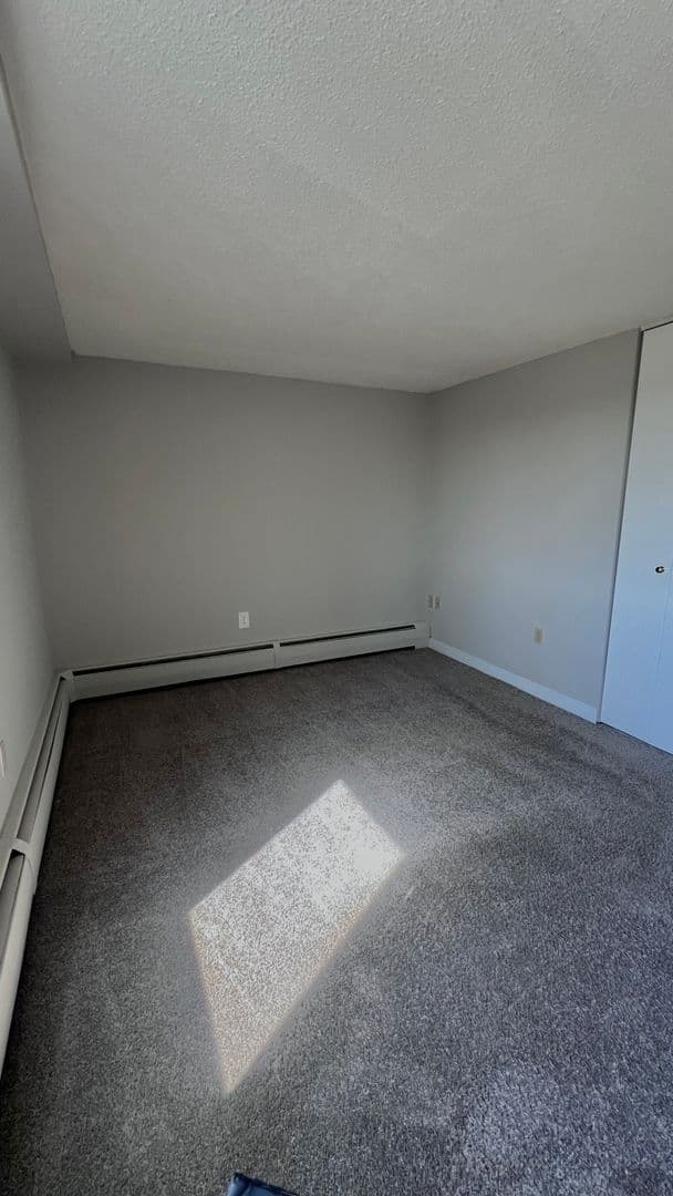Minneapolis Apartment: 215 Oak Grove Street