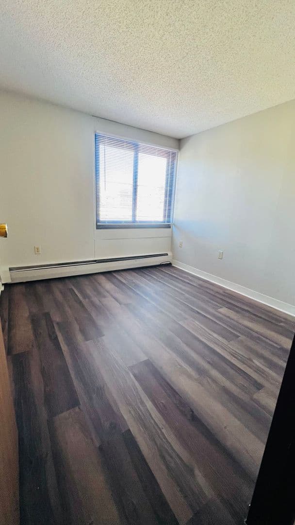 Minneapolis Apartment: 215 Oak Grove Street