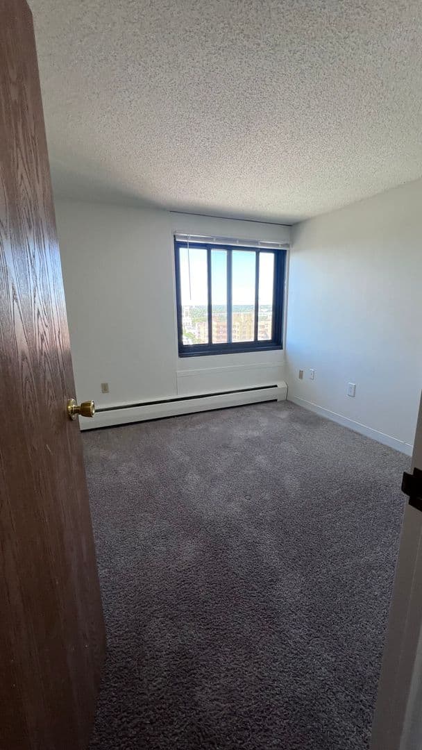 Minneapolis Apartment: 215 Oak Grove Street