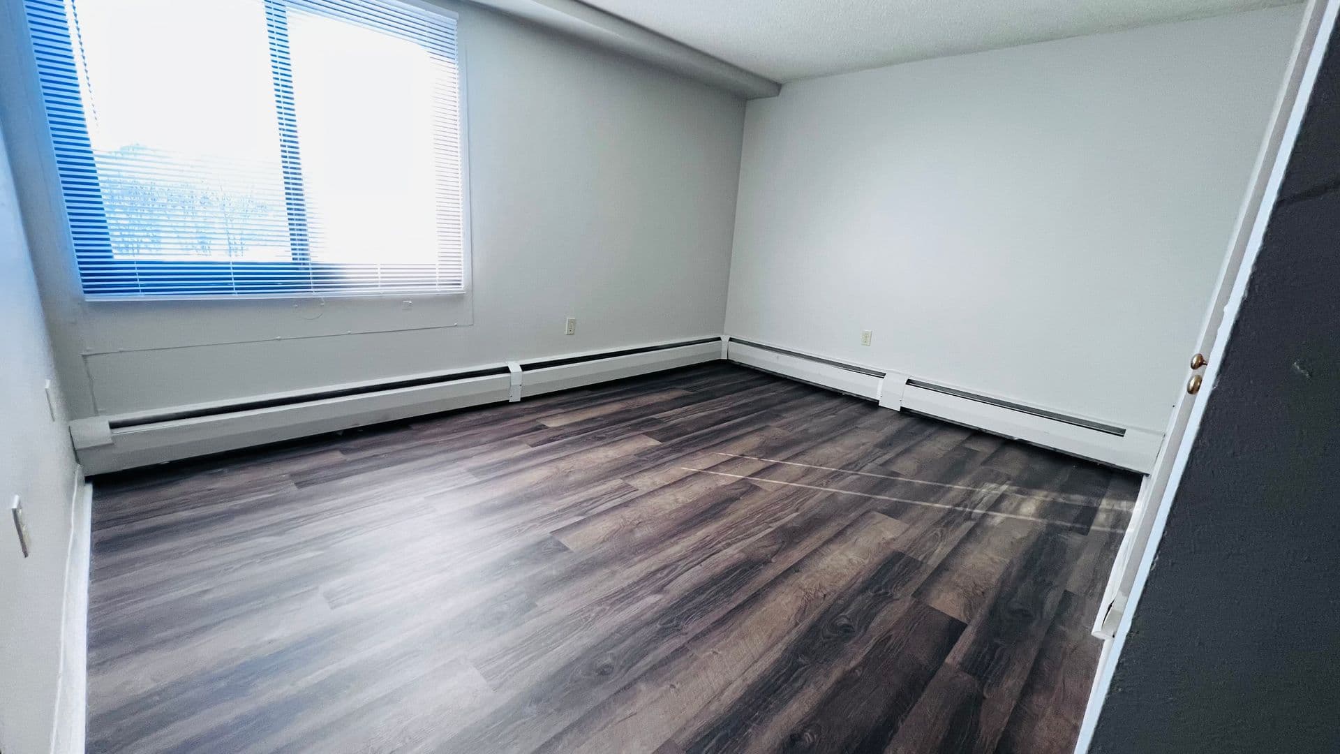 Minneapolis Apartment: 215 Oak Grove Street