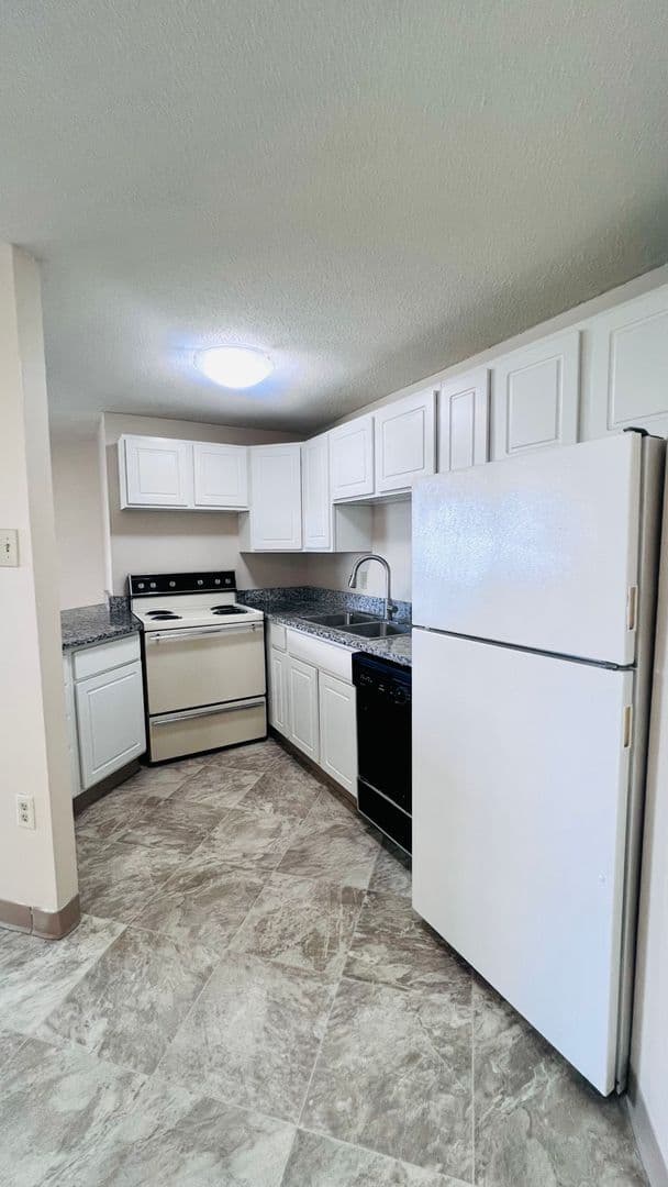 Minneapolis Apartment: 215 Oak Grove Street
