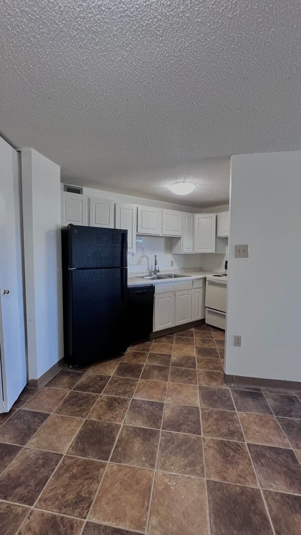 Minneapolis Apartment: 215 Oak Grove Street