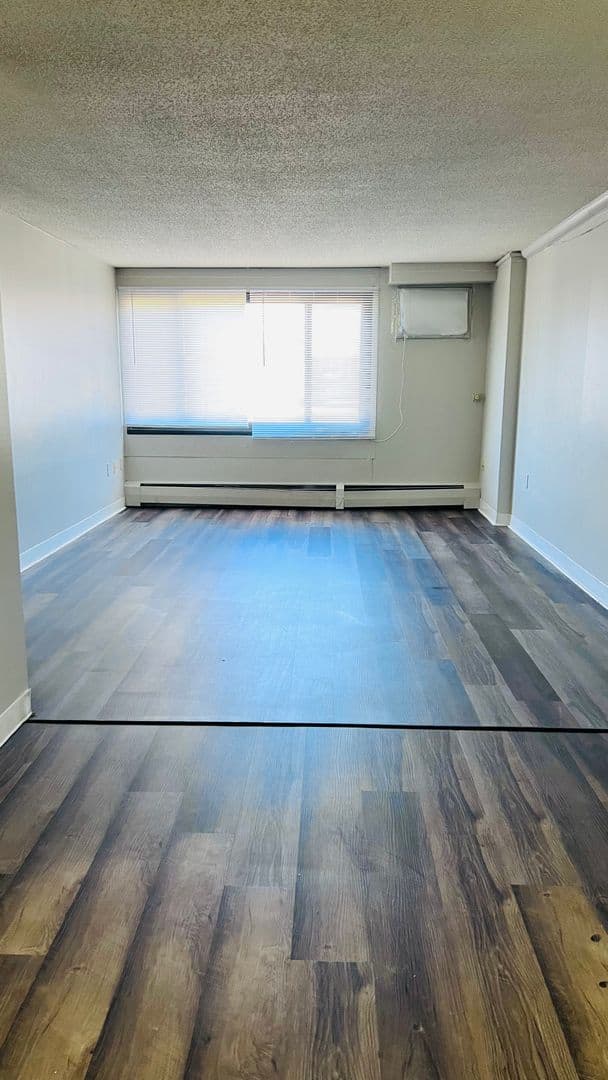 Minneapolis Apartment: 215 Oak Grove Street