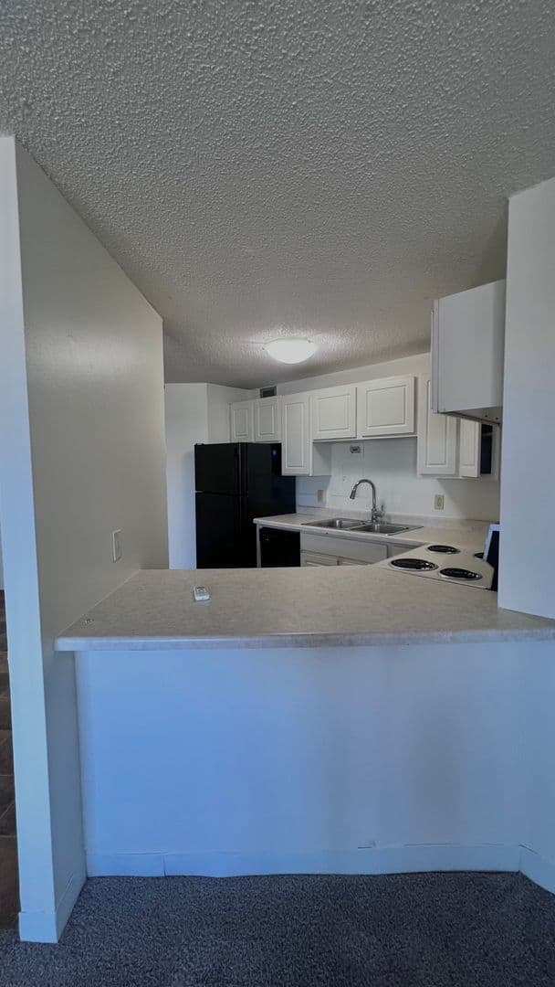Minneapolis Apartment: 215 Oak Grove Street