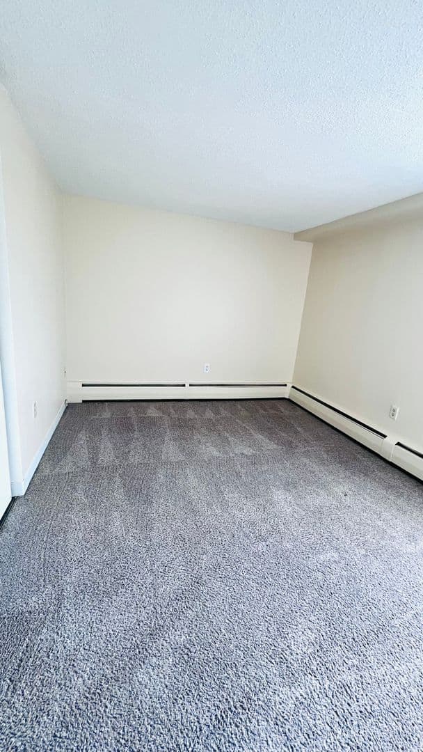 Minneapolis Apartment: 215 Oak Grove Street