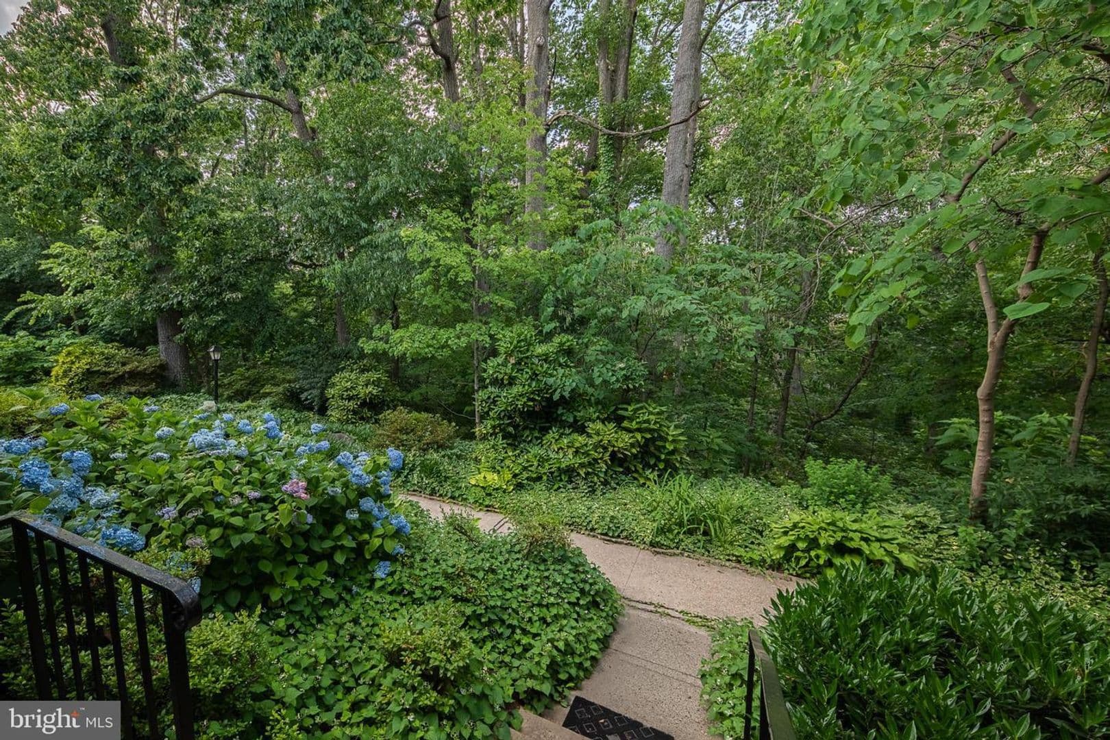 Arlington Condo: 1501 S Edgewood Street