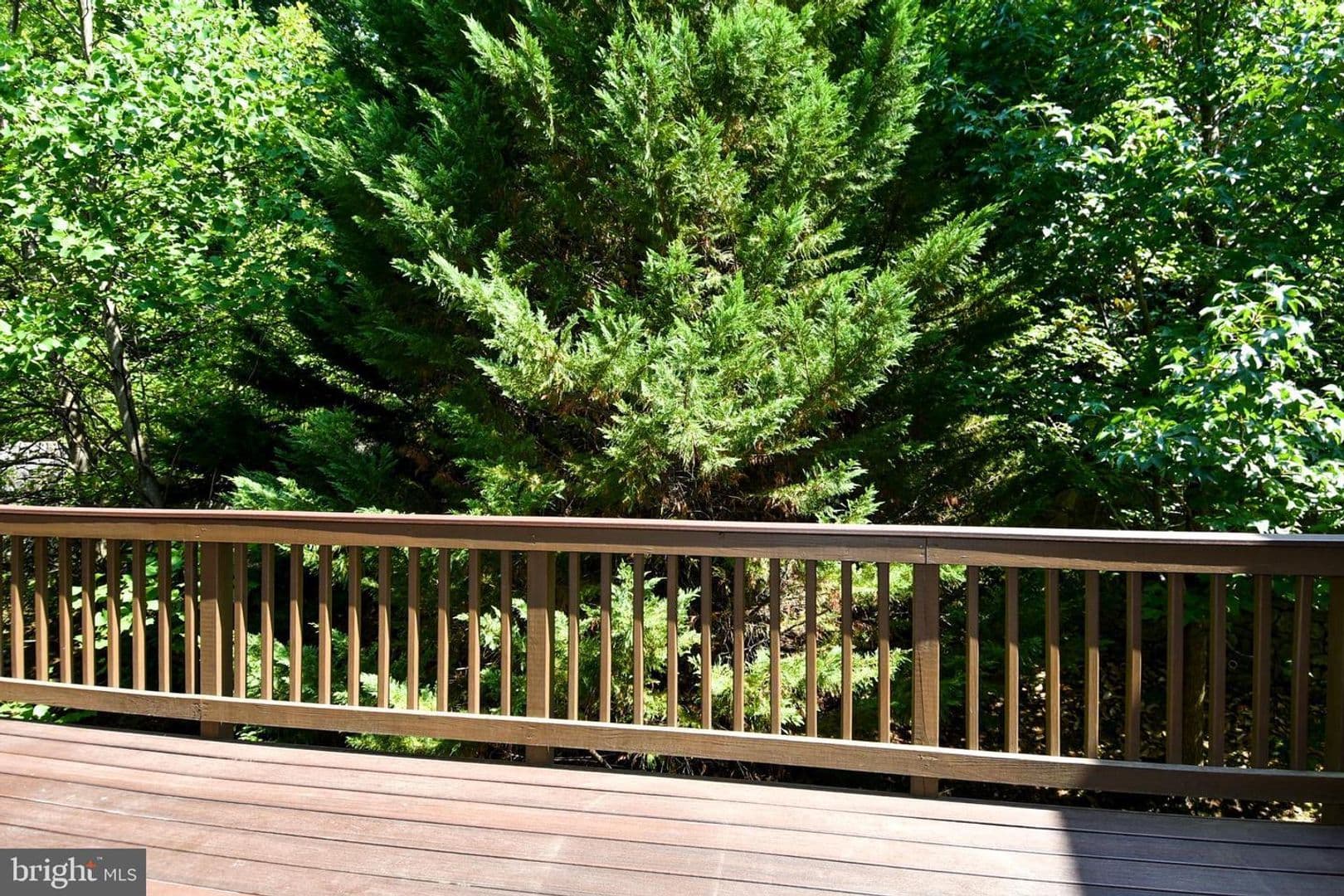 Alexandria House: 7810 Locust Leaf Lane