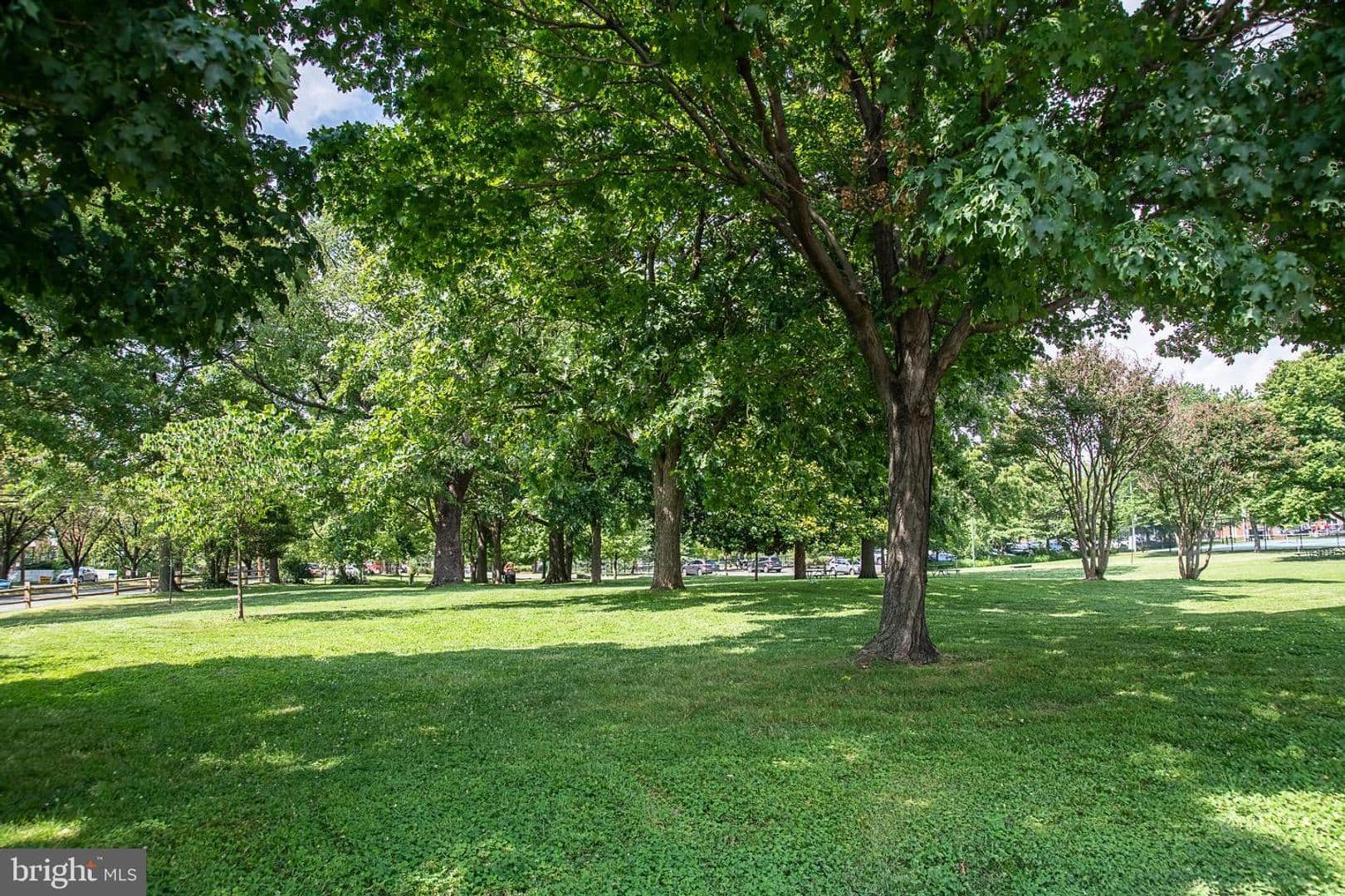 Arlington Condo: 1501 S Edgewood Street