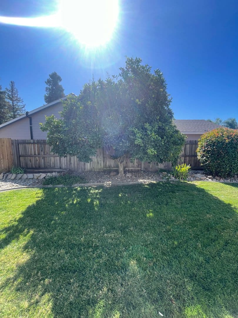 Sacramento House: 8116 Darien Circle