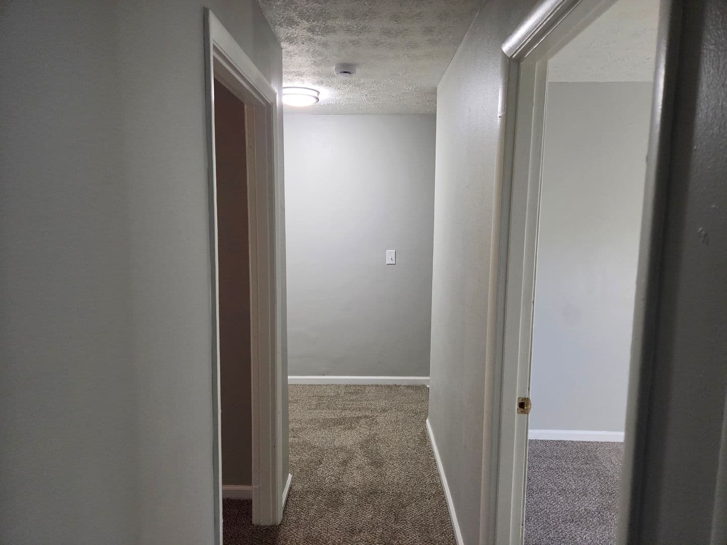 Elyria Apartment: 41547 - 41549 Elmwood St
