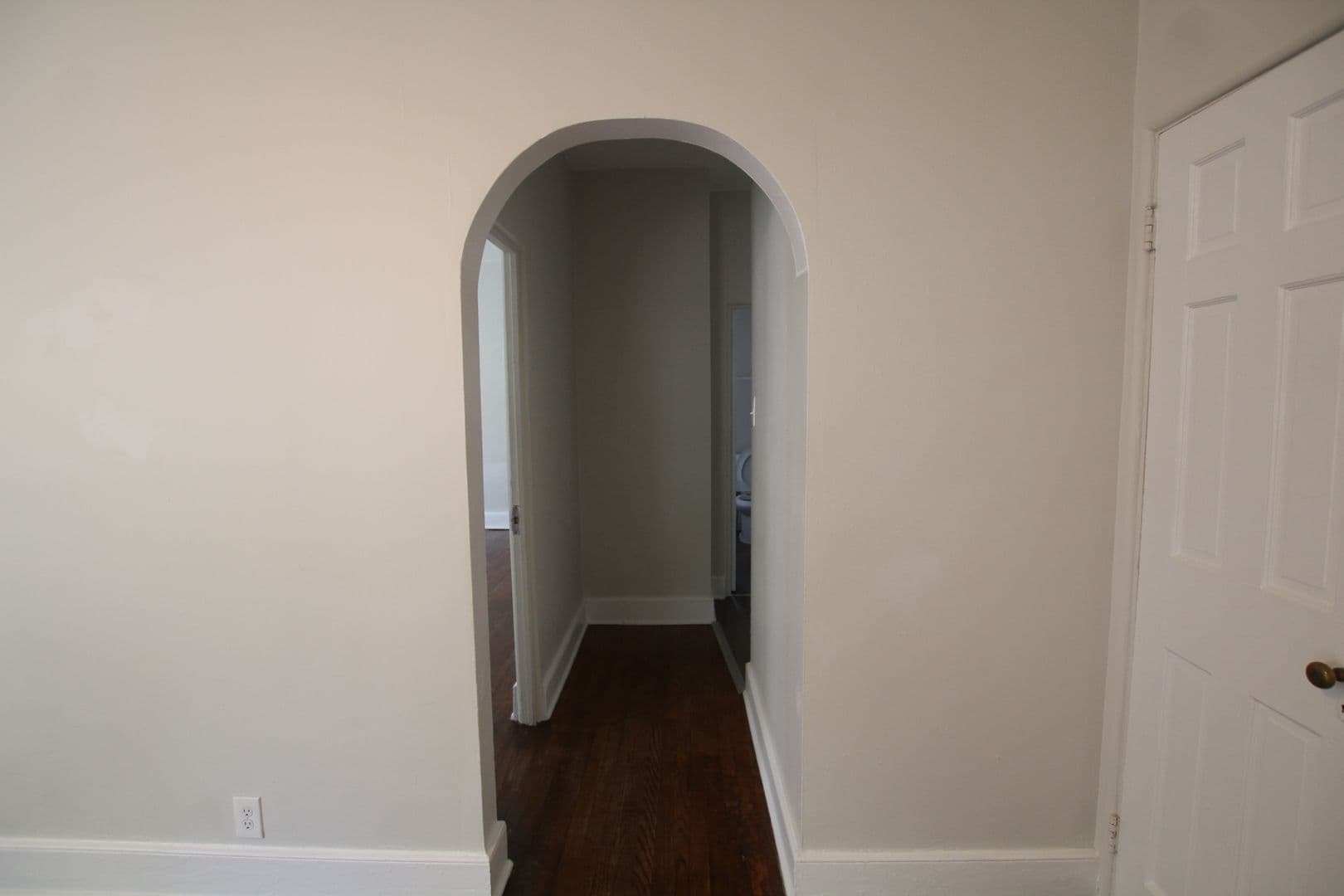 Kingston Apartment: 231 Albany Avenue