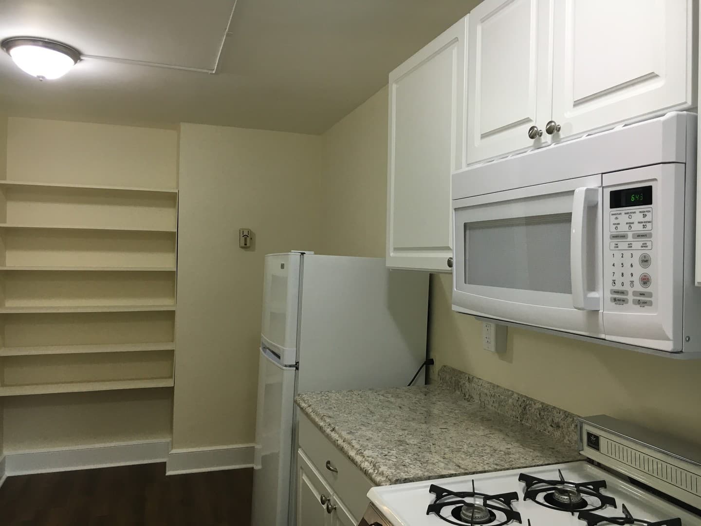 Kingston Apartment: 231 Albany Avenue
