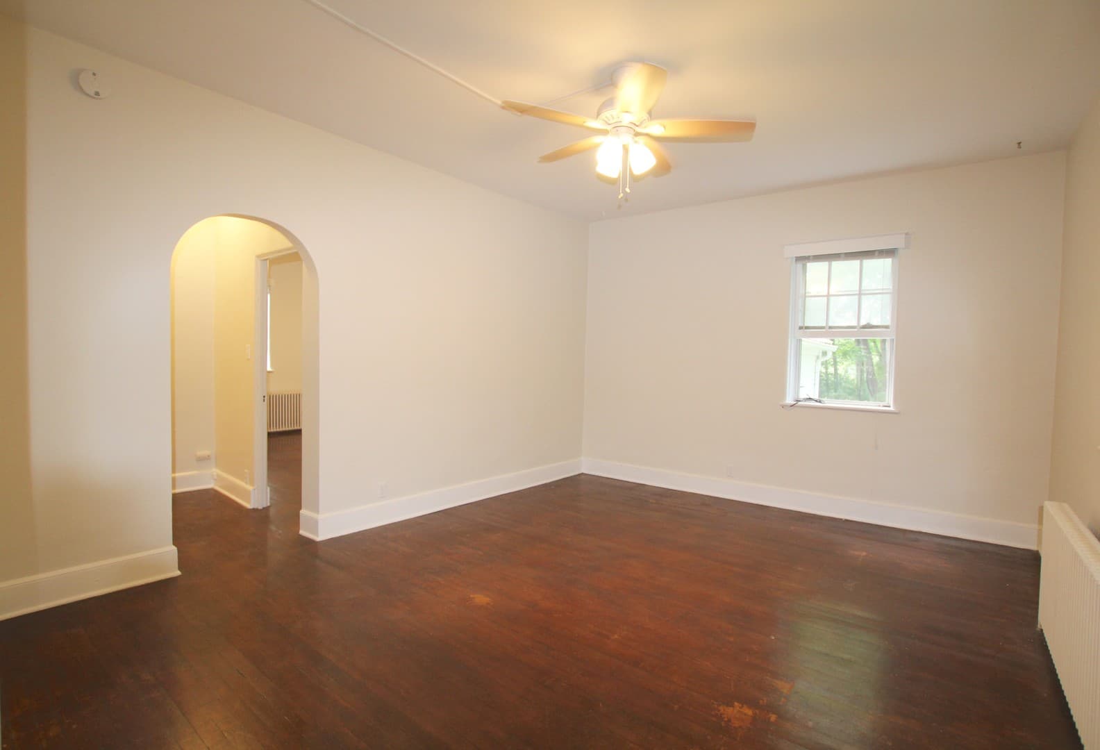 Kingston Apartment: 231 Albany Avenue