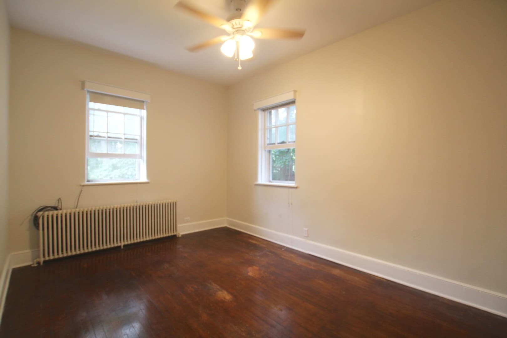 Kingston Apartment: 231 Albany Avenue