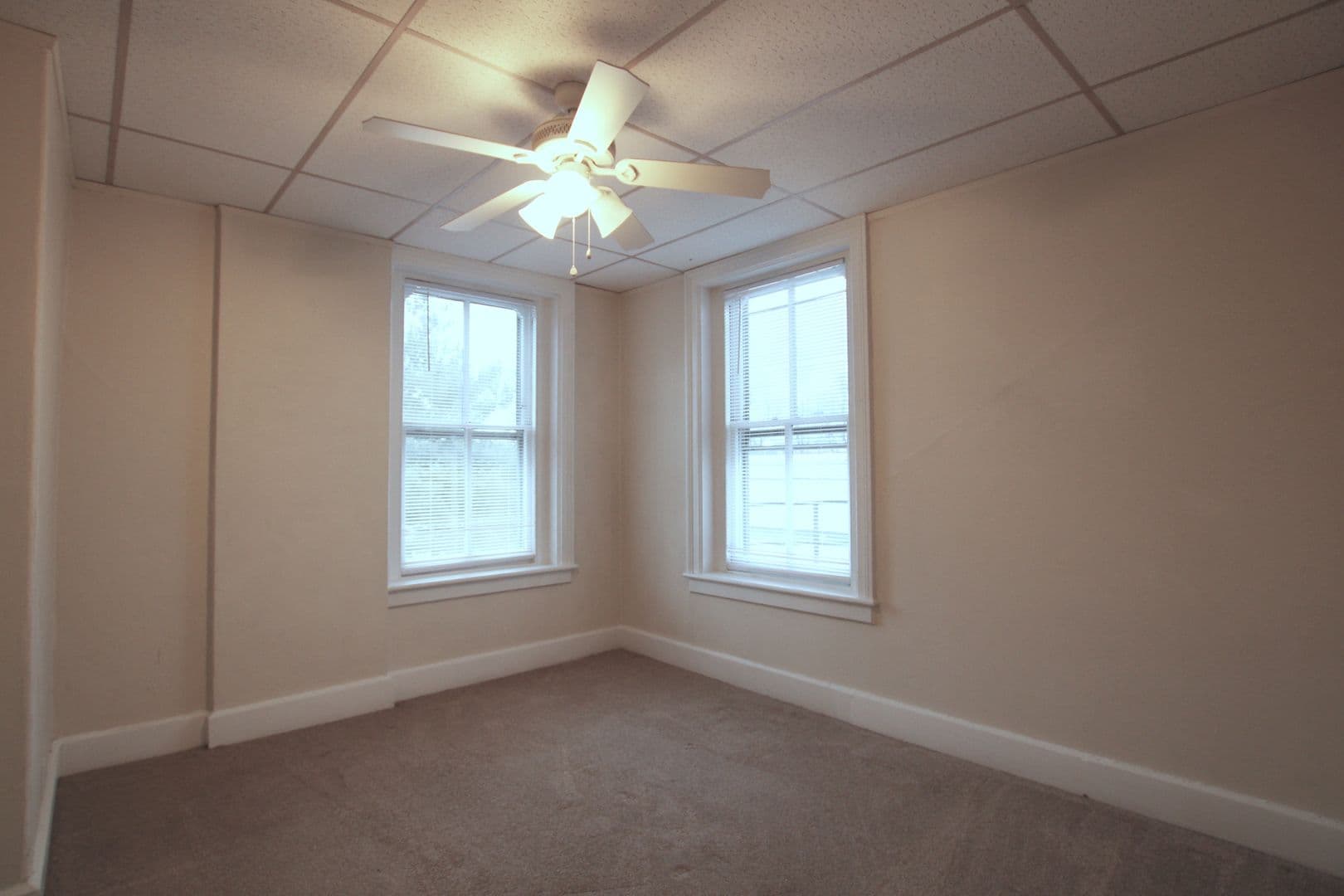 Kingston Apartment: 231 Albany Avenue