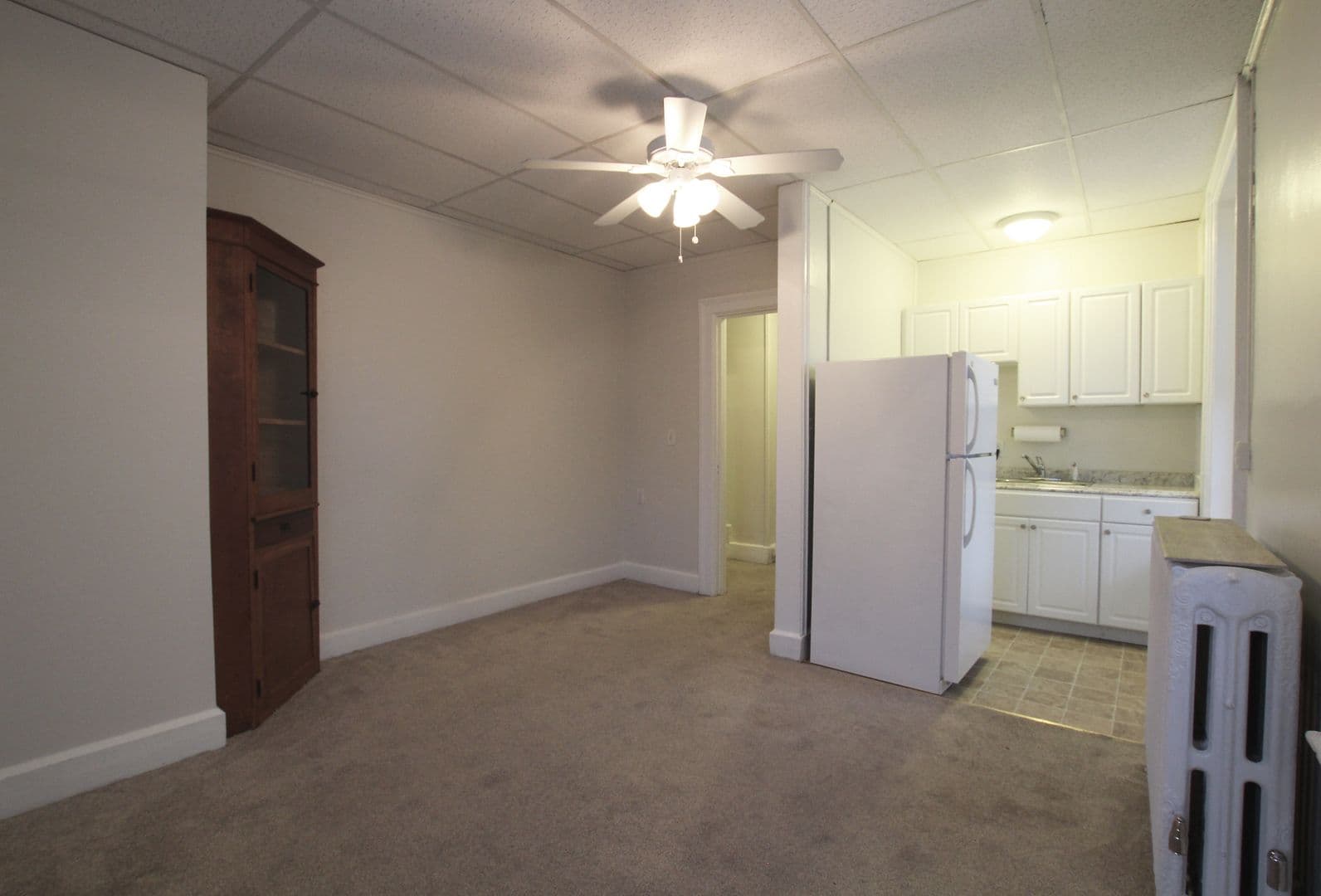 Kingston Apartment: 231 Albany Avenue