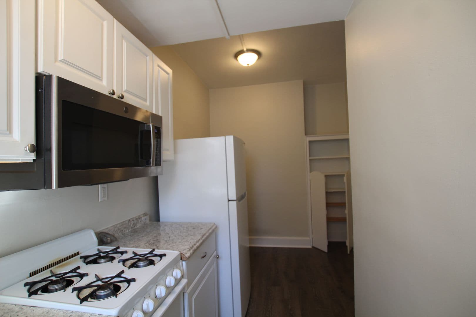 Kingston Apartment: 231 Albany Avenue
