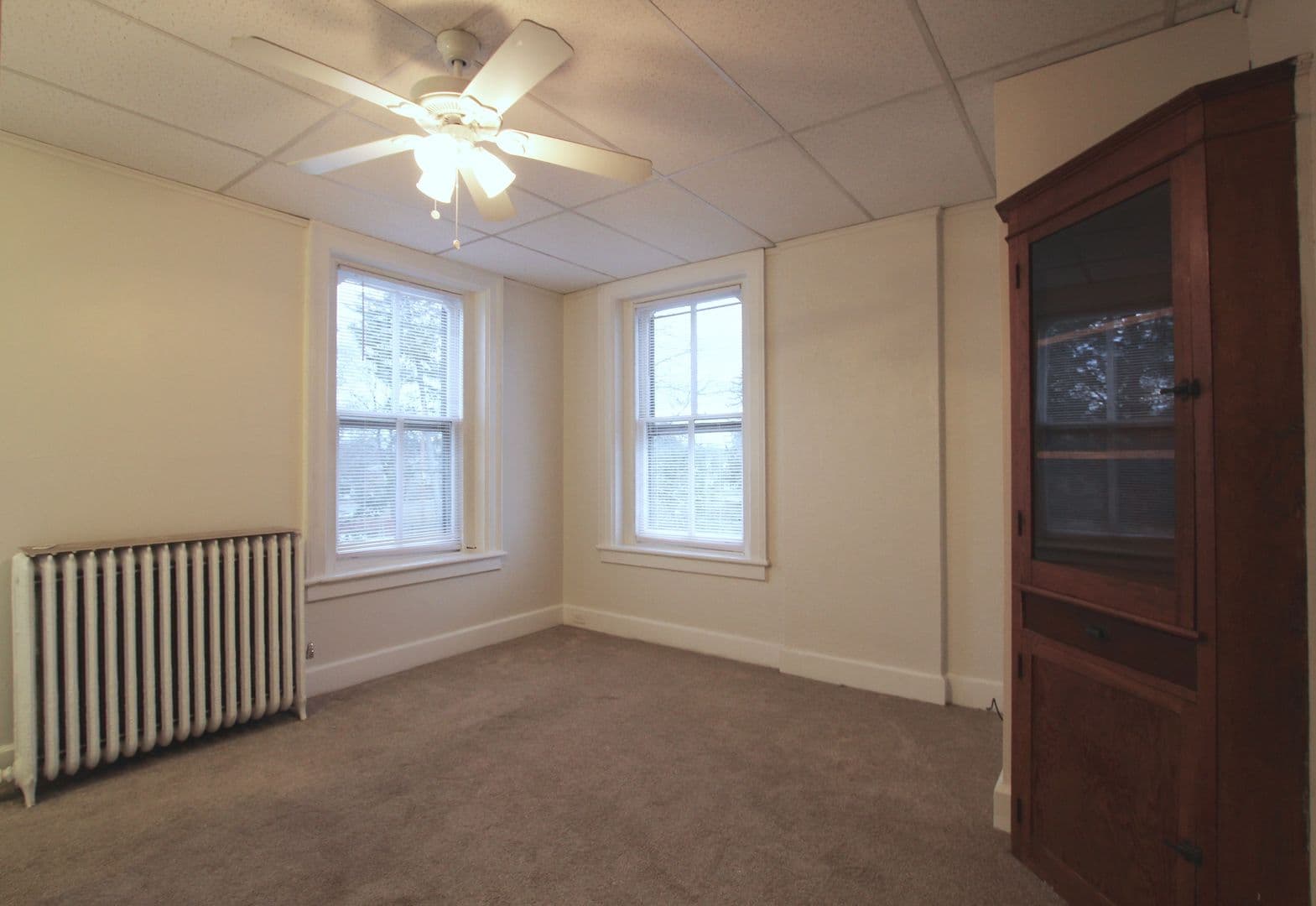 Kingston Apartment: 231 Albany Avenue