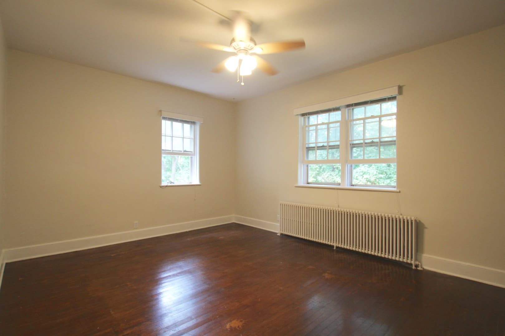 Kingston Apartment: 231 Albany Avenue
