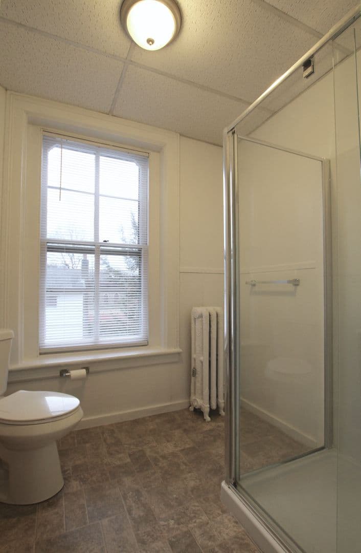 Kingston Apartment: 231 Albany Avenue