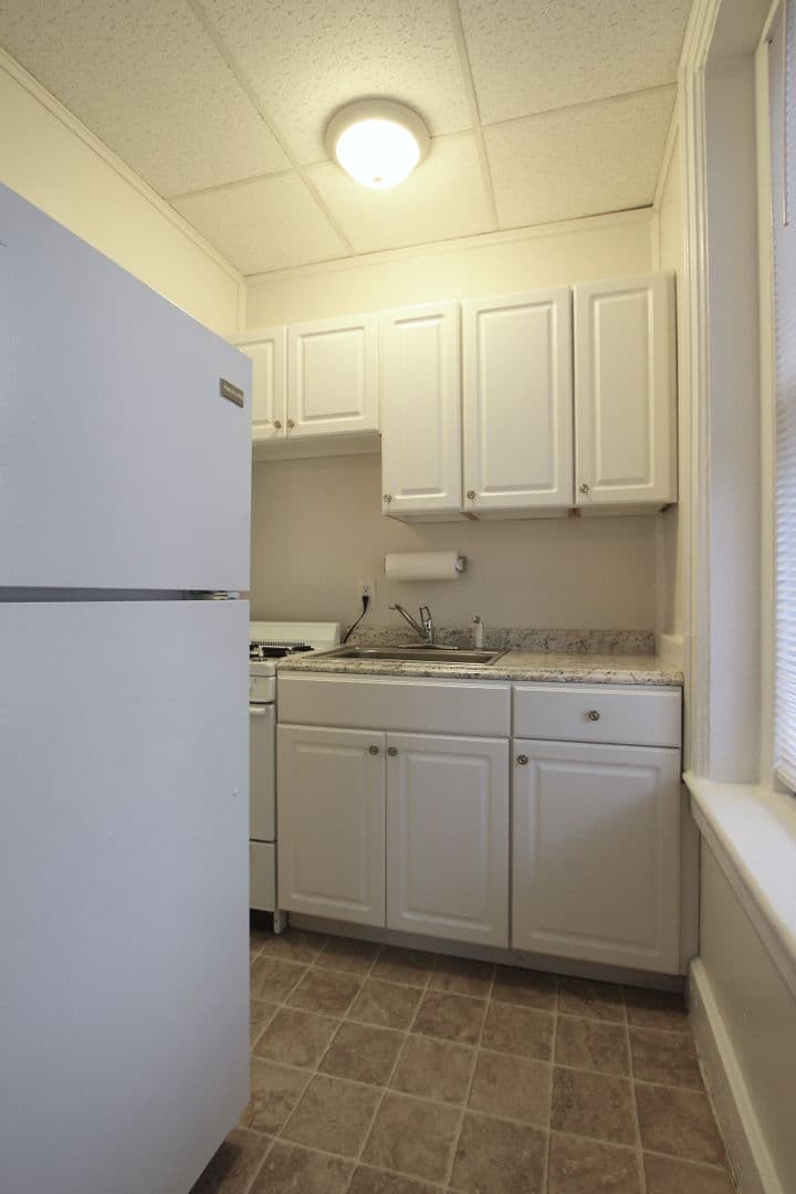 Kingston Apartment: 231 Albany Avenue