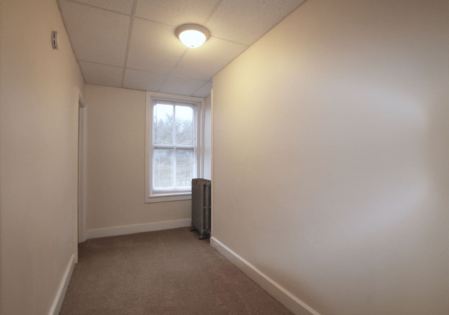 Kingston Apartment: 231 Albany Avenue