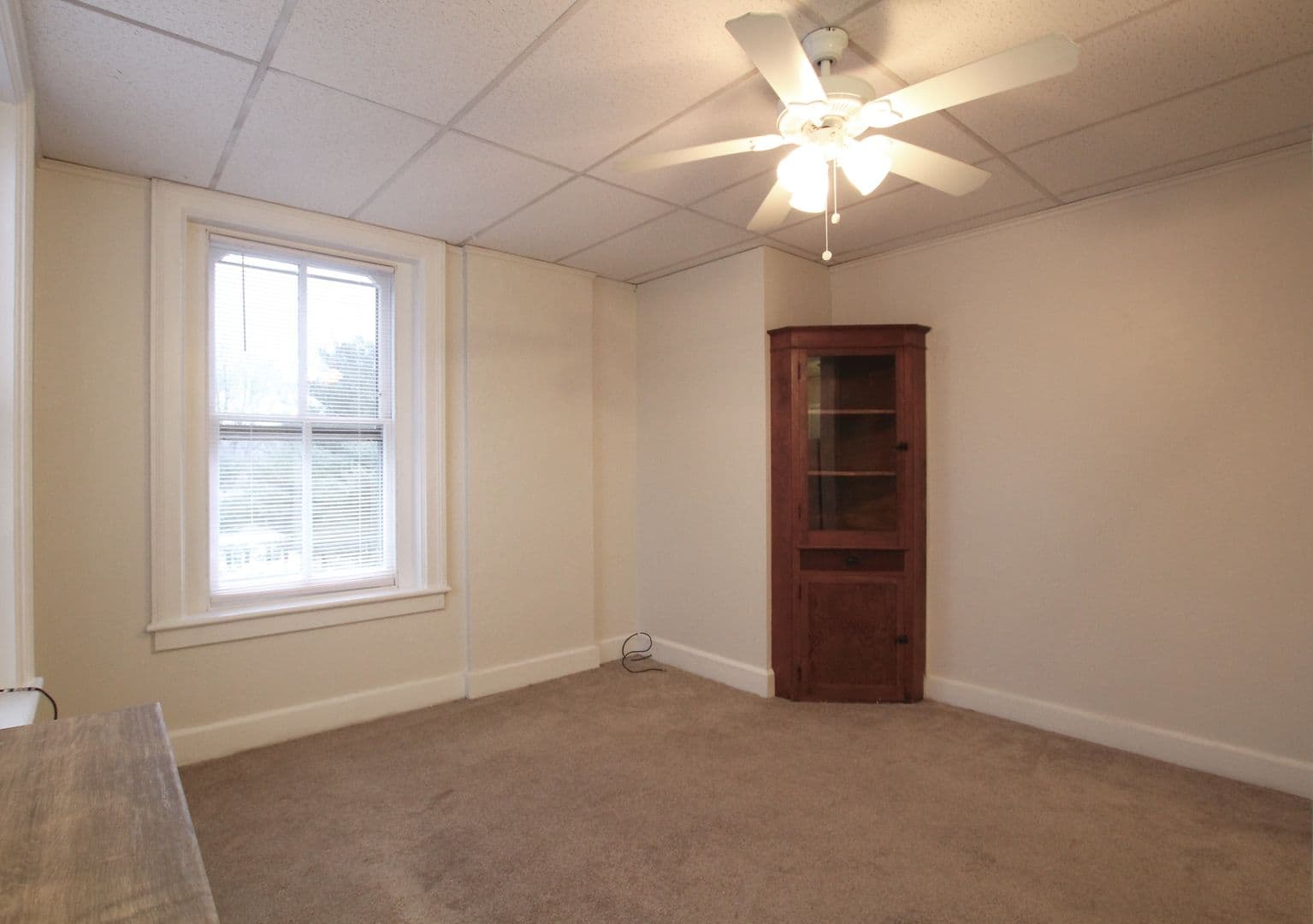 Kingston Apartment: 231 Albany Avenue