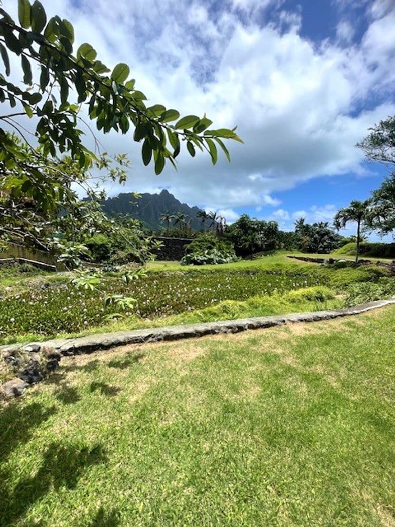 Kaneohe House: 48-493 Kamehameha Hwy