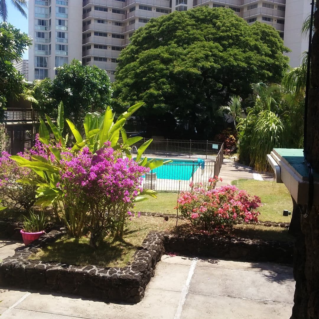 Honolulu Condo: Oahuan # 219