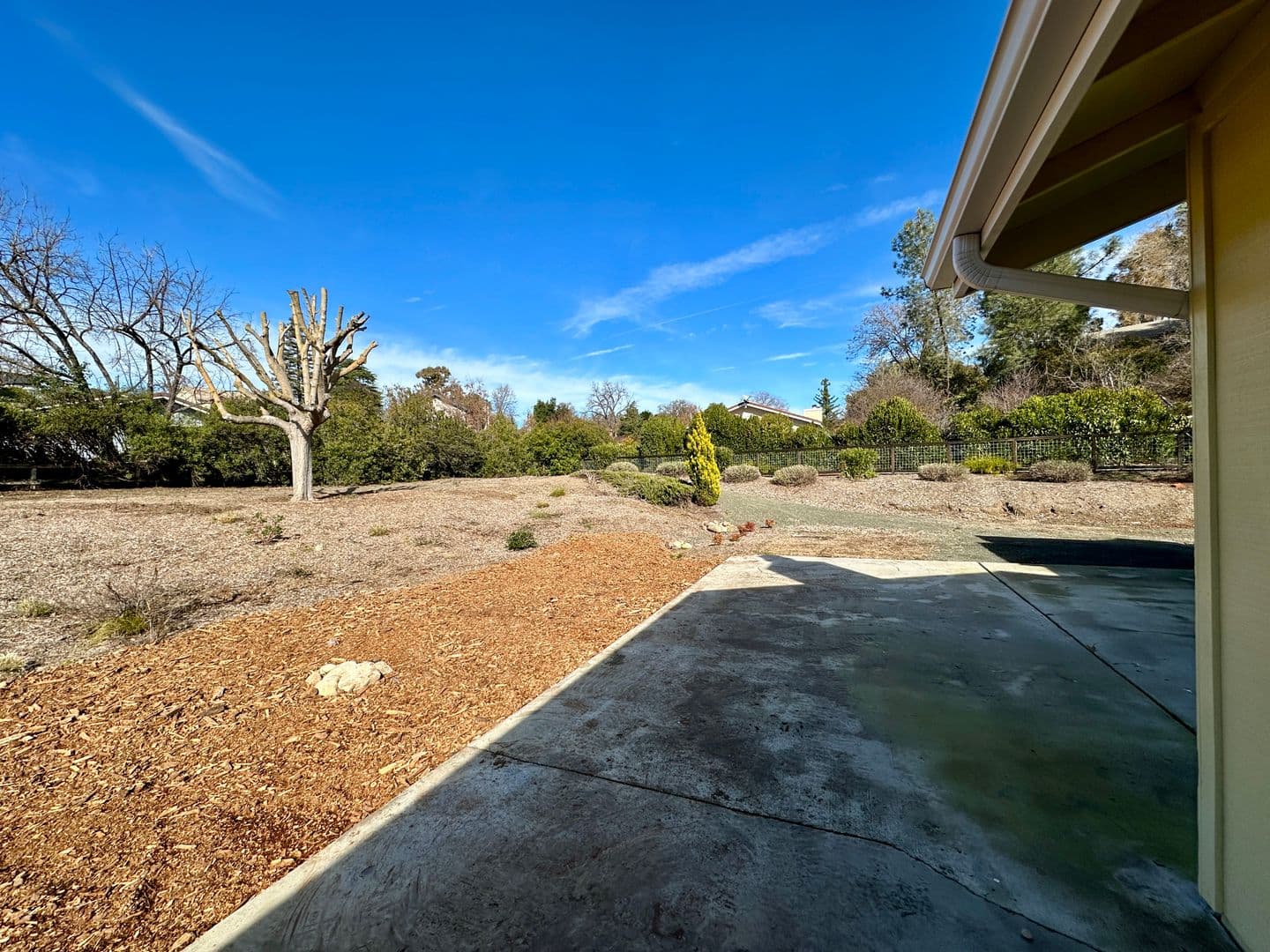 Paso Robles House: 735 Walnut Dr