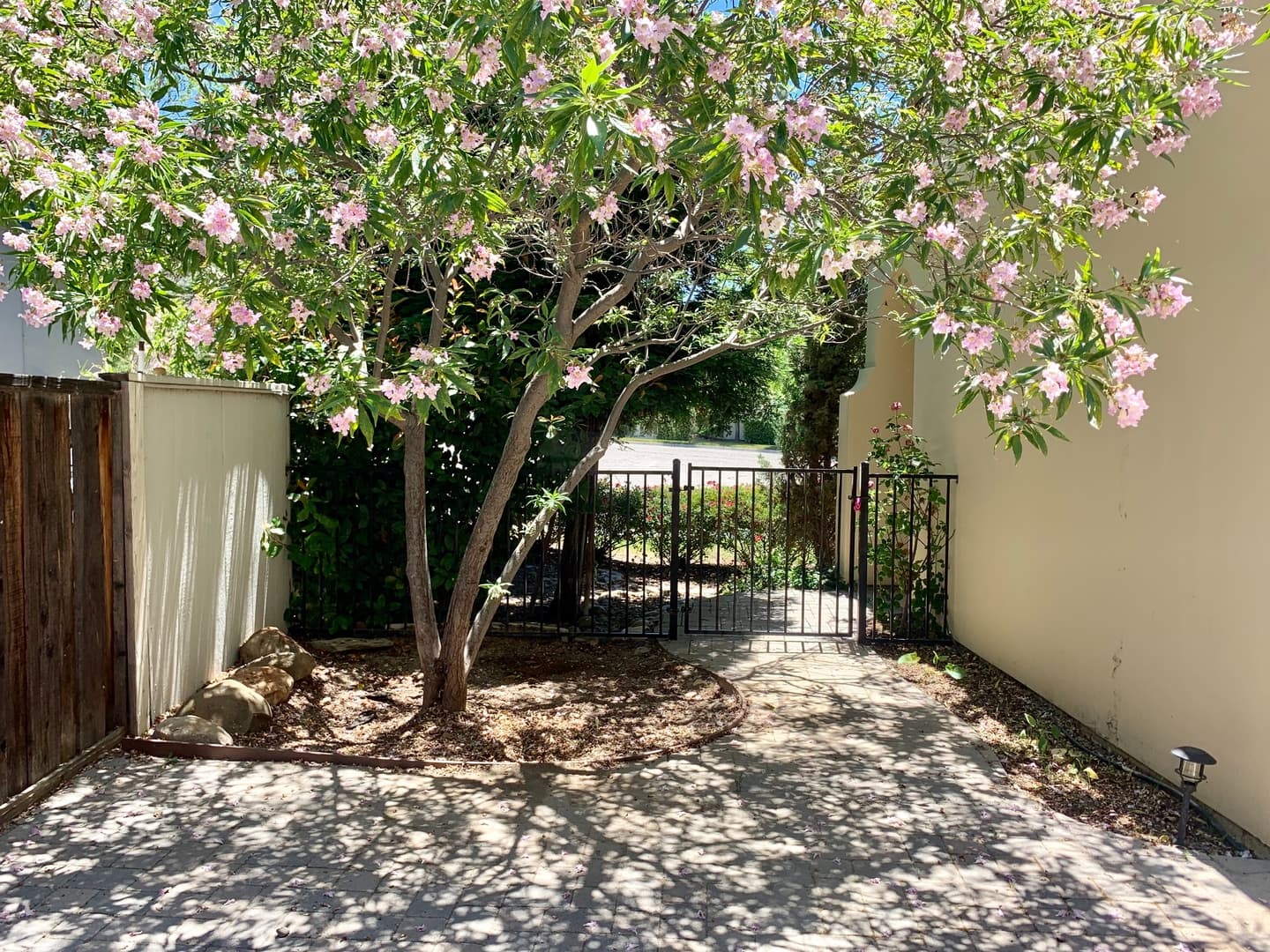 Paso Robles House: 209 Vista Del Rio