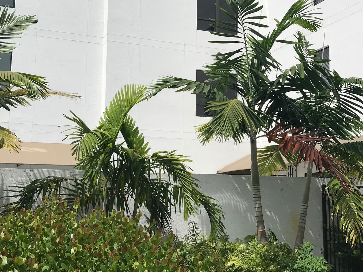 West Palm Beach Apartment: 2320 N Dixie Hwy