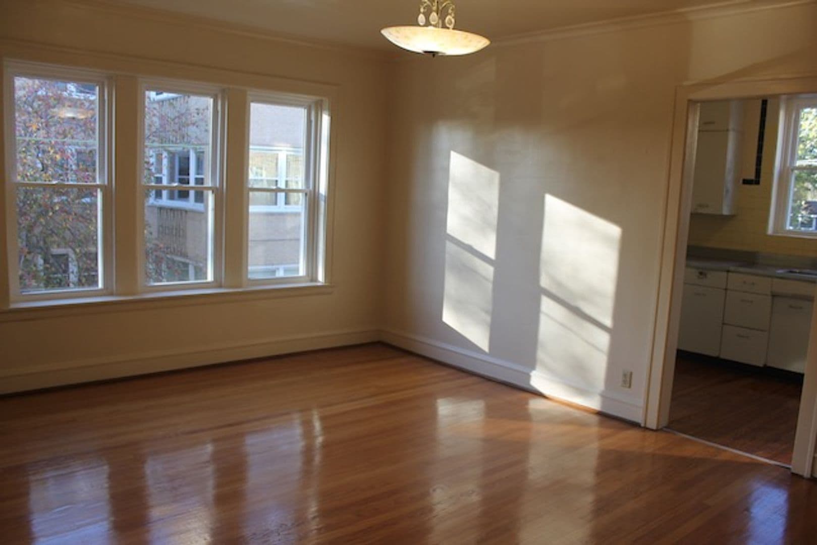 Evanston Apartment: 126-32 Custer Ave.