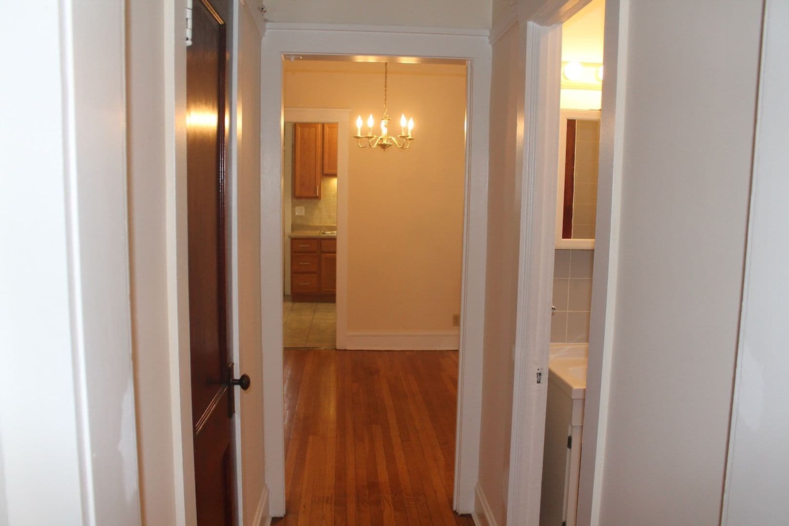 Evanston Apartment: 513 Main Street #3