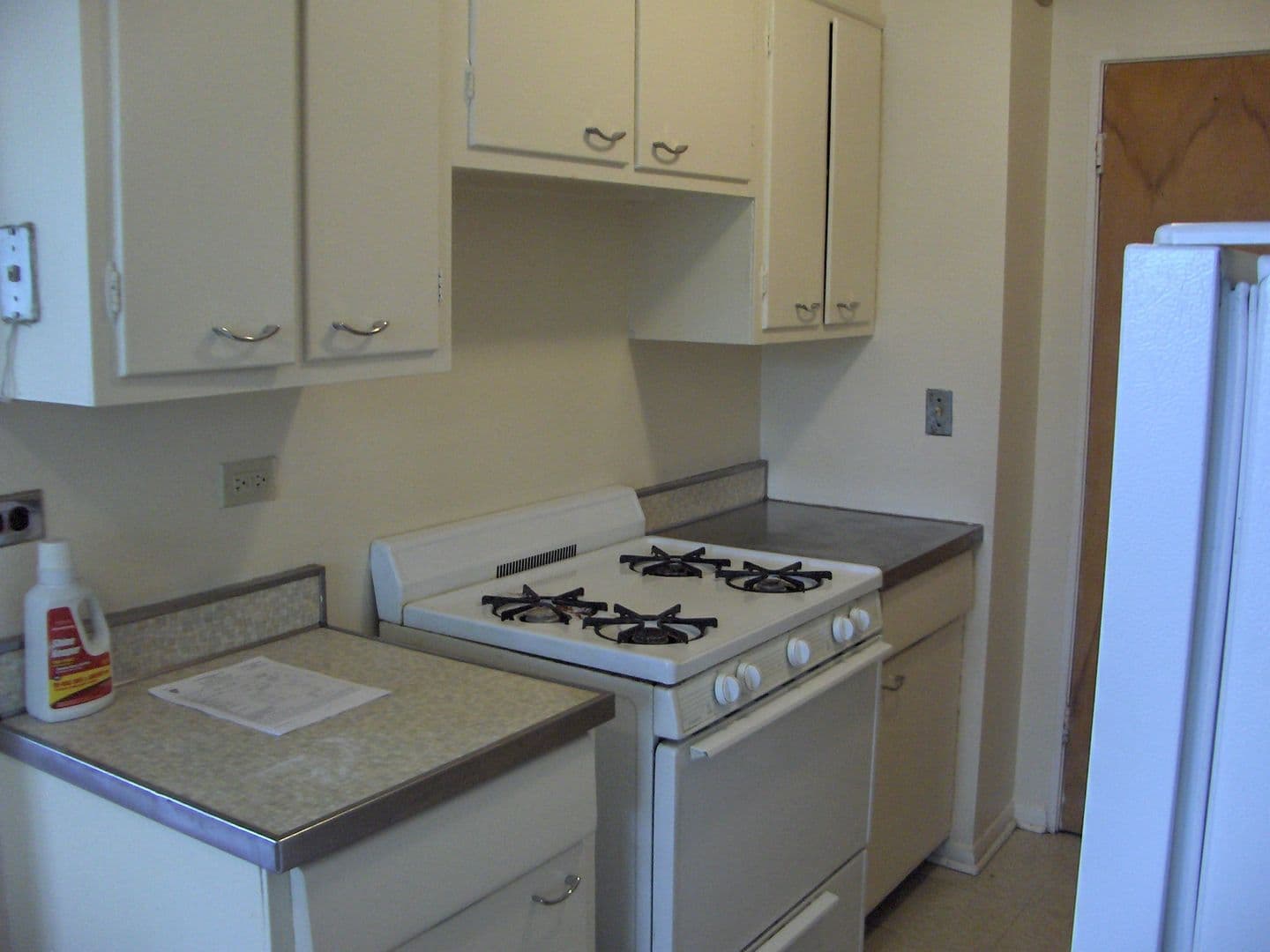 Evanston Apartment: 2113-15 Darrow Ave.