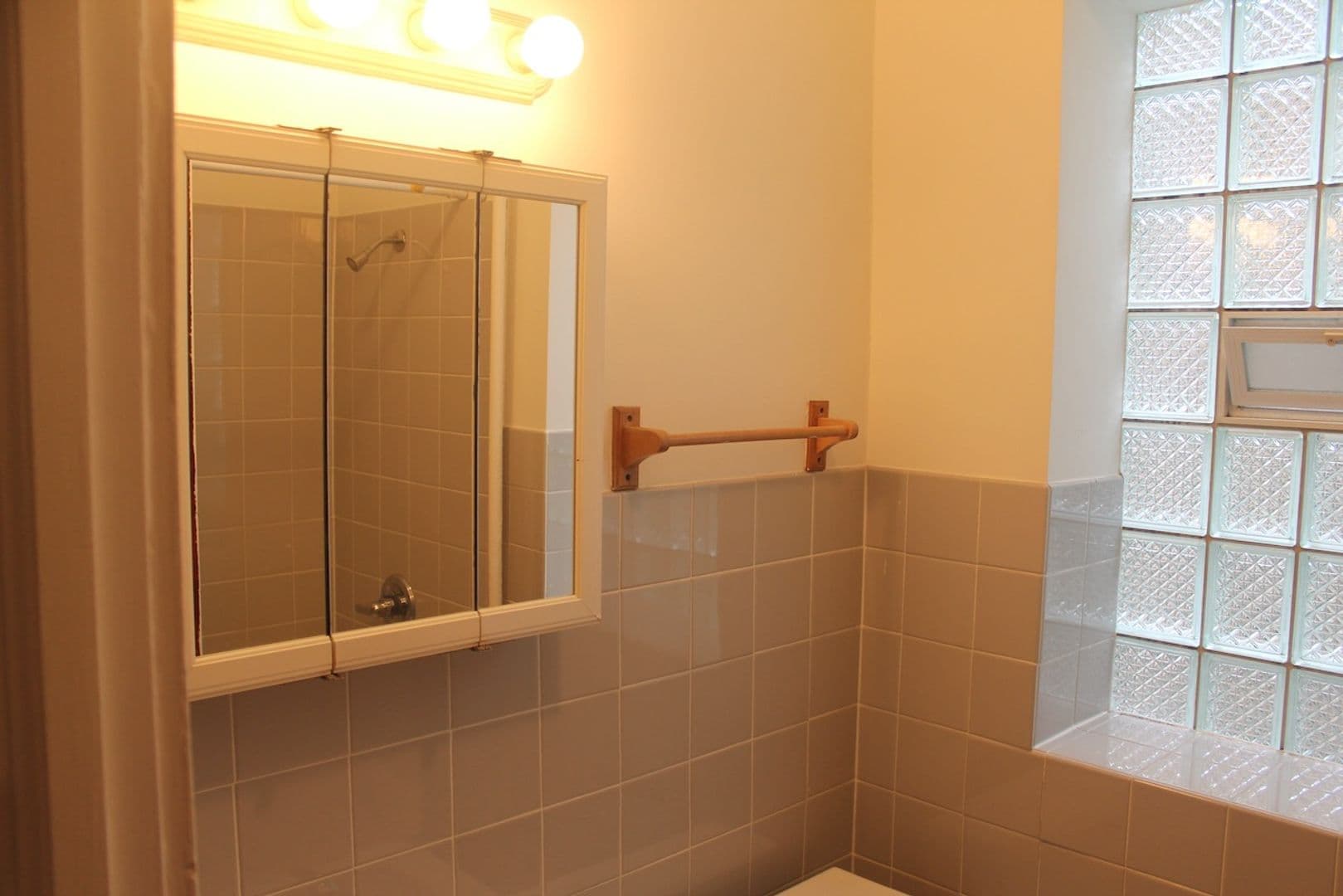 Evanston Apartment: 513 Main Street #3