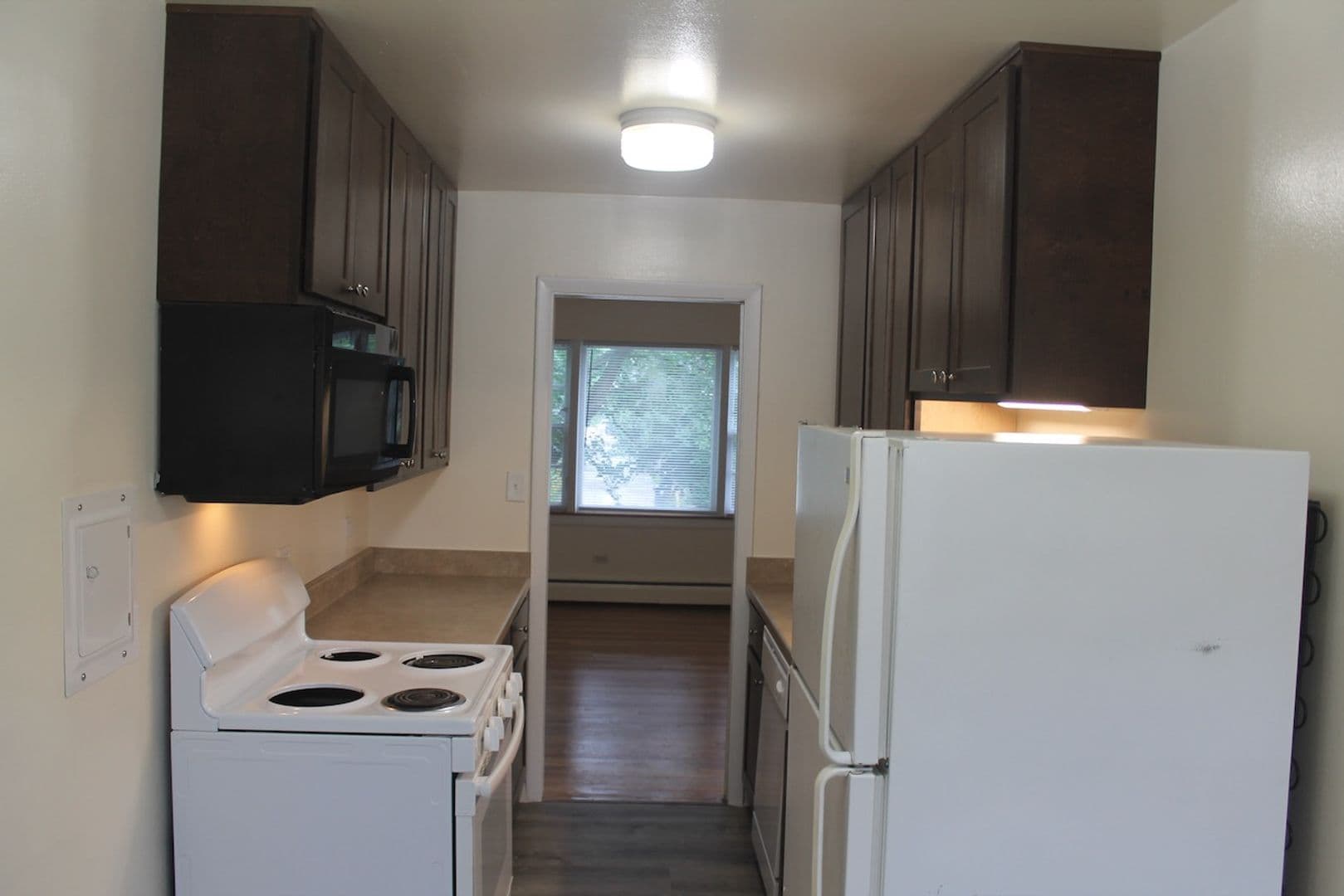 Evanston Apartment: 1008-12 Crain St.