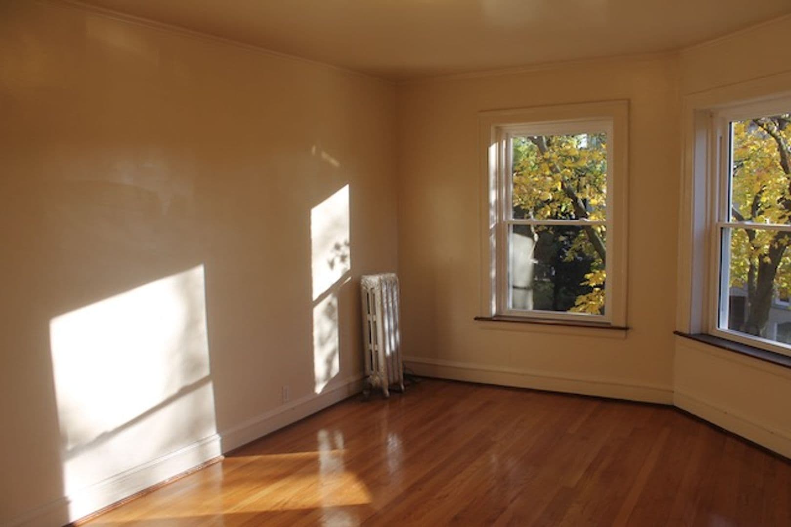Evanston Apartment: 126-32 Custer Ave.